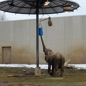 3/4/2023 - Now It's My Turn!