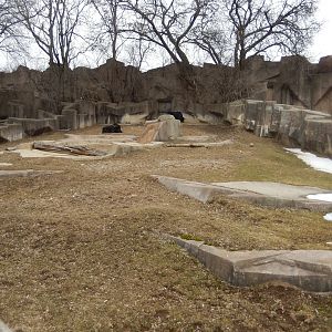 3/4/2023 - Yak Exhibit (1 of 2)