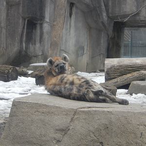 3/4/2023 - Nyota Sprawled Out