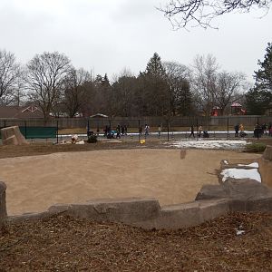 3/4/2023 - Scimitar-Horned Oryx Exhibit