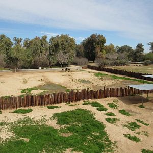 Arabian Oryx, Sable Antelope and Axis Deer Exhibits from Sky Ride - 3/6/23