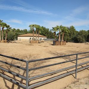 White Rhinoceros Exhibit in the Safari Park - 3/6/23
