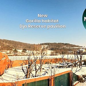 Prague Zoo Snowy Walk