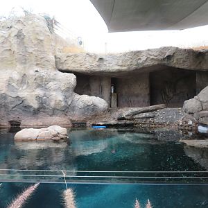 Seal/Sea Lion Exhibit