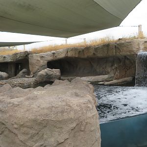 Seal/Sea Lion Exhibit