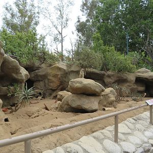 Meerkat Exhibit