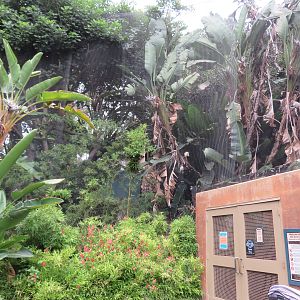 Asia/Australia Aviary Entrance