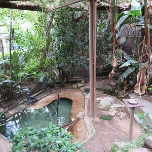 Asia/Australia Aviary