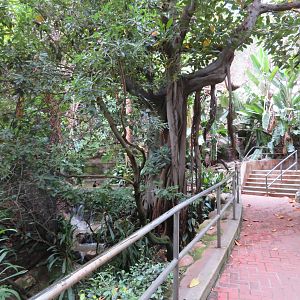 Asia/Australia Aviary