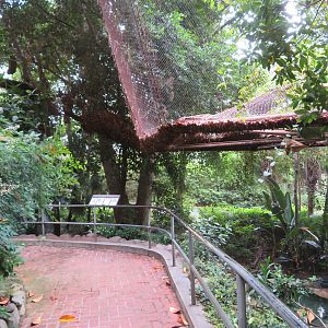 Asia/Australia Aviary