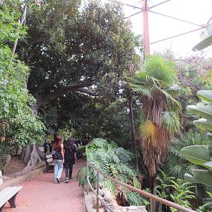 Asia/Australia Aviary