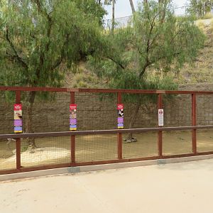 Hoofstock Nursey Yard