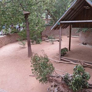 Kangaroo Exhibit