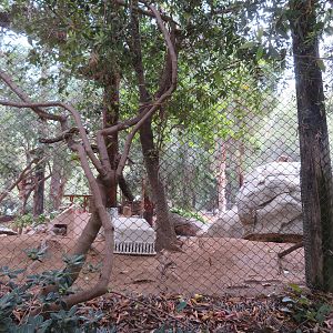 Rock Wallaby/Rhinoceros Hornbill Exhibit