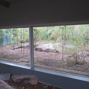 Komodo Dragon Outdoor Exhibit