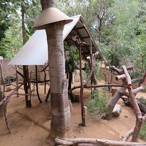 Koala/Echidna/Wallaby Exhibit