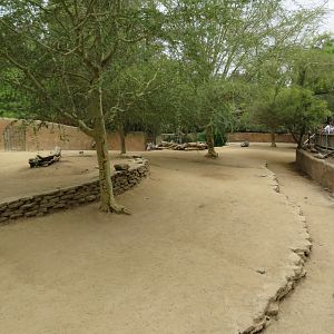 Grevy's Zebra Exhibit
