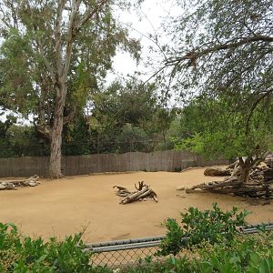 Speke's Gazelle Exhibit