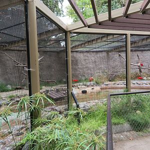 Mixed Aquatic Bird Exhibit