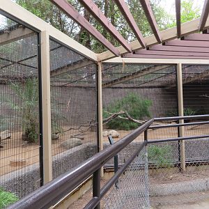 Roadrunner/Quail Exhibit