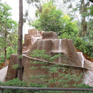 Desert Bighorn Sheep Exhibit