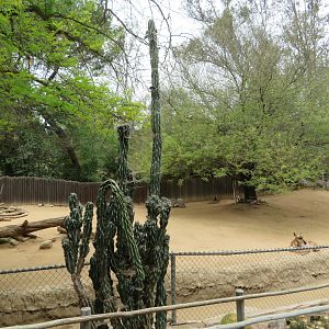 Peninsular Pronghorn Exhibit