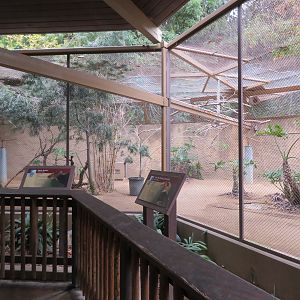 Duiker/Hornbill Exhibit