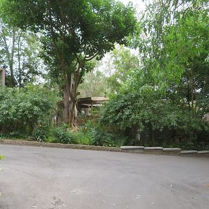 View of Pathway