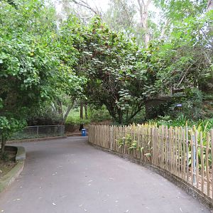 View of Pathway
