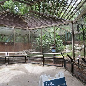 Buff-cheeked Gibbon Roundhouse