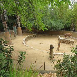 Sichuan Takin Exhibit