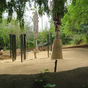 Sichuan Takin Exhibit