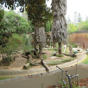 Sumatran Tiger Exhibit