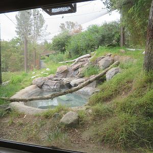 Jaguar Exhibit