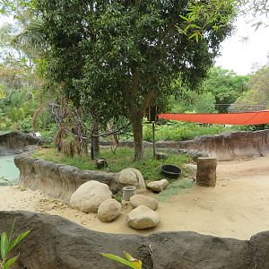 Baird's Tapir Exhibit