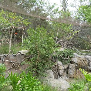 Small Mixed Bird Aviary