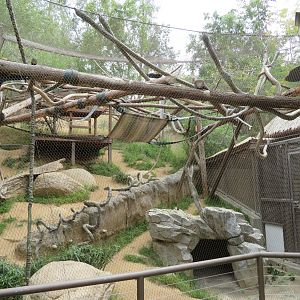 Howler Monkey/Paca Exhibit