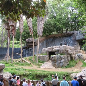 Chimpanzee Lower Exhibit