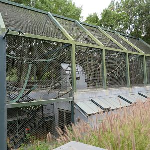 Chimpanzee Upper Exhibit