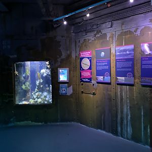 Shipwreck Section 110223