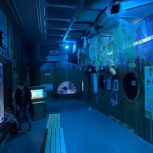 Shipwreck Section 110223