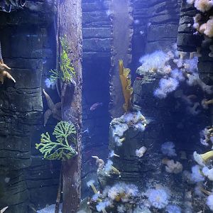 Shipwreck Section 110223