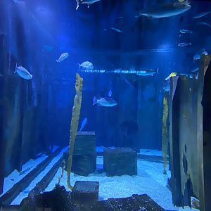 Shipwreck Section 110223