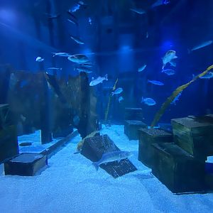 Shipwreck Section 110223