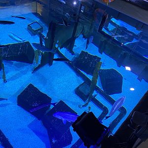 Shipwreck main tank from above 110223