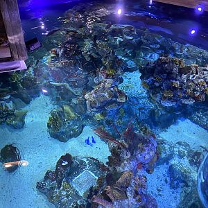 Tropical Seas from above 110223