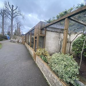 Aviaries 010323
