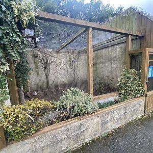 Aviary example 010323