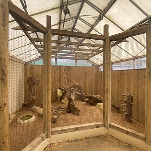 Owl Parliament - Burrowing owl aviary 010323