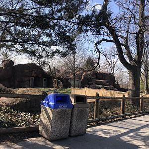 [March 2023] Red Rocks- Burlap fence around Chinese goral (Naemorhedus griseous) and Sichuan takin (Budorcas taxicolor tibetana) mixed yard